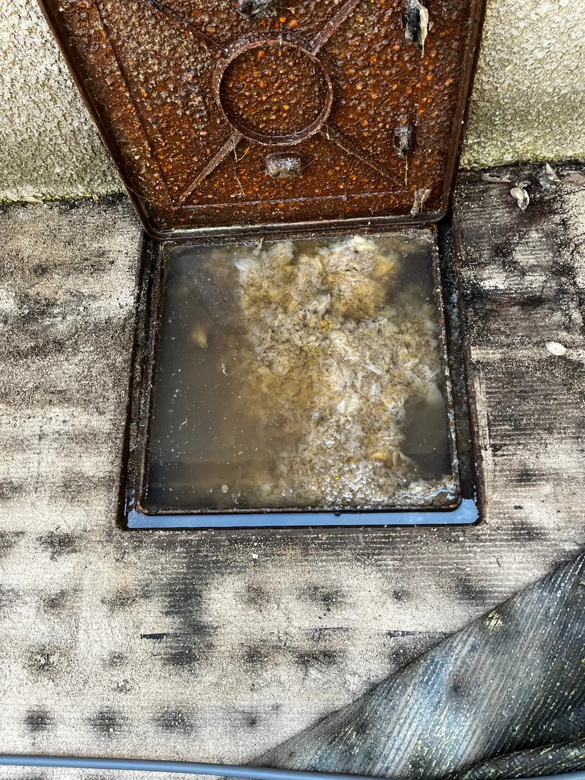 Debouchage WC à Ampus — avant intervention